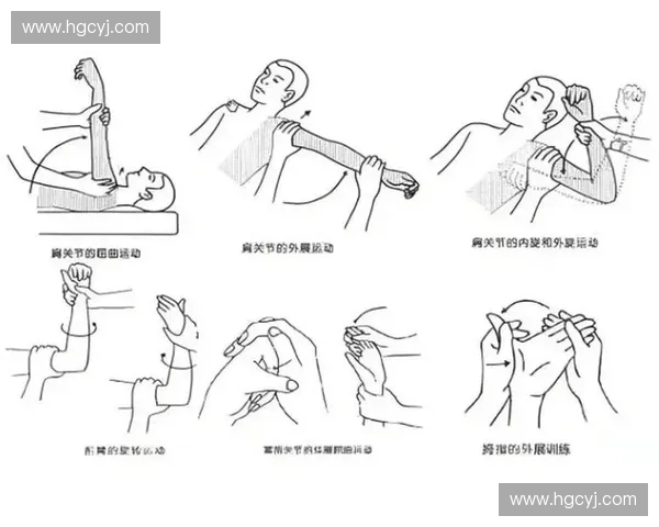 康复训练在促进身体功能恢复中的关键作用与实践探索